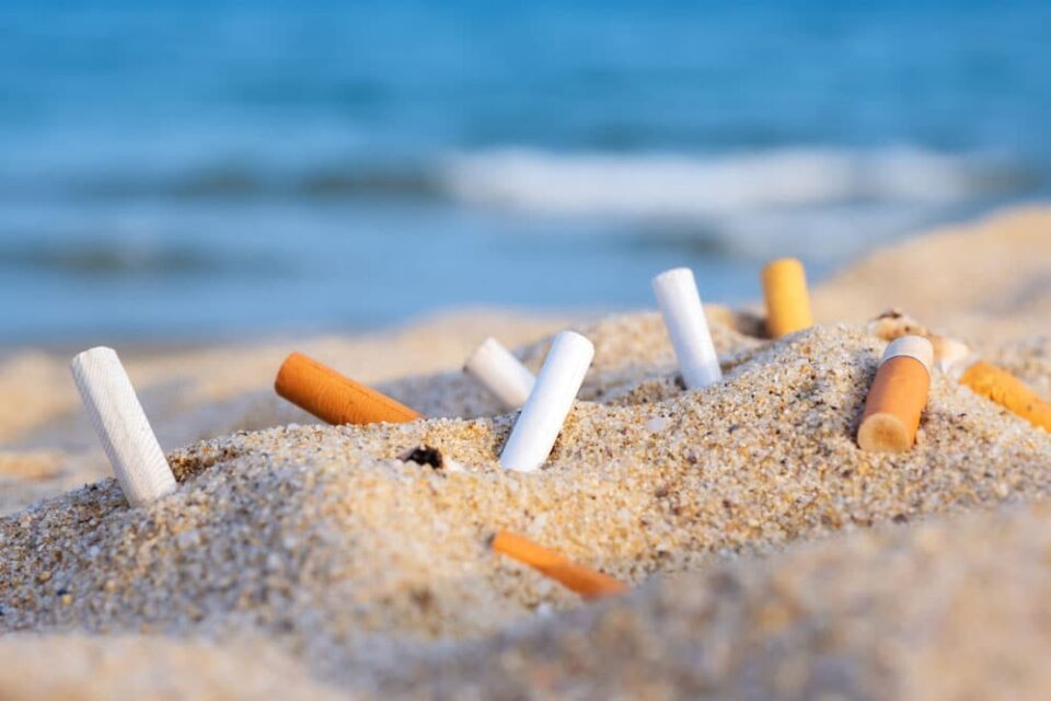 Cigarette butts pollution LaserOstop quit smoking laser Laser to quit smoking stop smoking center south africa Cigarette butts pollution LaserOstop quit smoking laser Laser to quit smoking stop smoking center south africa